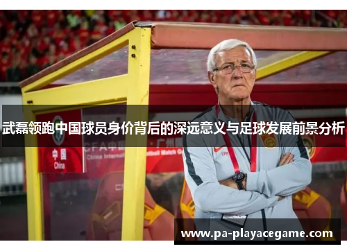 武磊领跑中国球员身价背后的深远意义与足球发展前景分析