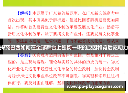 探究巴西如何在全球舞台上独树一帜的原因和背后驱动力