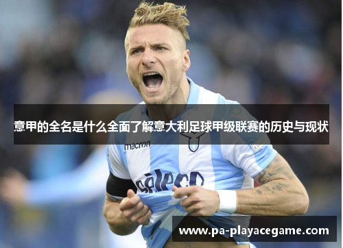 意甲的全名是什么全面了解意大利足球甲级联赛的历史与现状