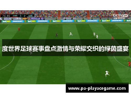 度世界足球赛事盘点激情与荣耀交织的绿茵盛宴