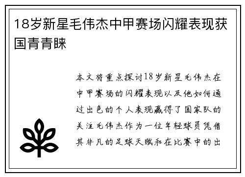 18岁新星毛伟杰中甲赛场闪耀表现获国青青睐
